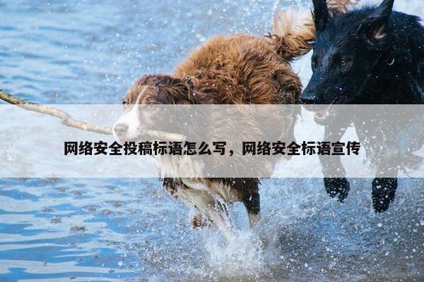 网络安全投稿标语怎么写，网络安全标语宣传
