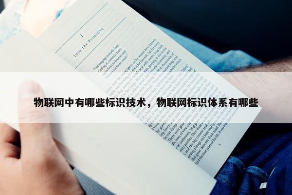 物联网中有哪些标识技术，物联网标识体系有哪些