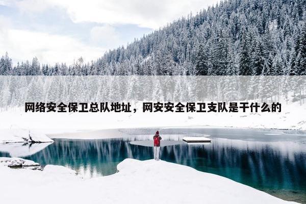 网络安全保卫总队地址，网安安全保卫支队是干什么的
