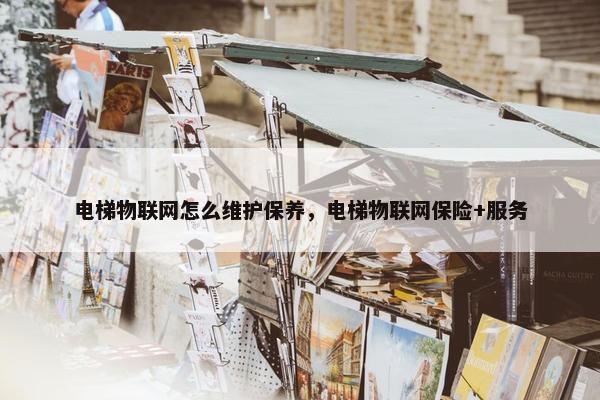 电梯物联网怎么维护保养，电梯物联网保险+服务