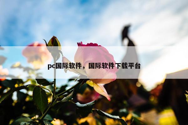 pc国际软件，国际软件下载平台
