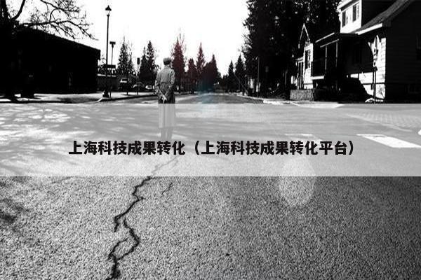 上海科技成果转化（上海科技成果转化平台）