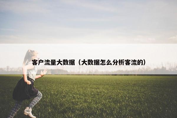 客户流量大数据（大数据怎么分析客流的）