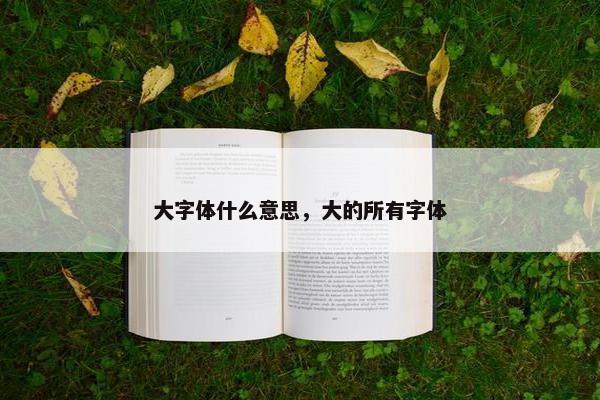 大字体什么意思，大的所有字体