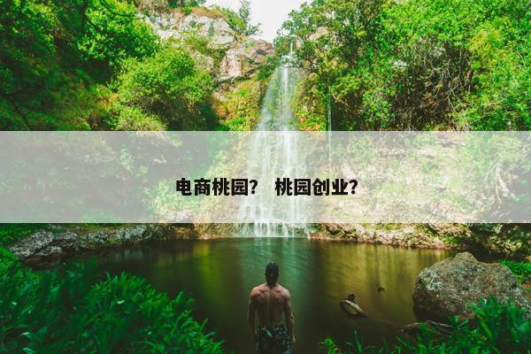 电商桃园？ 桃园创业？