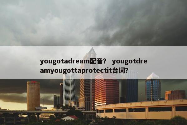 yougotadream配音？ yougotdreamyougottaprotectit台词？