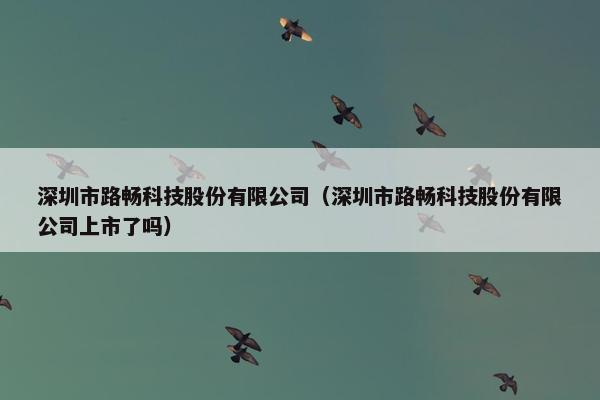 深圳市路畅科技股份有限公司（深圳市路畅科技股份有限公司上市了吗）
