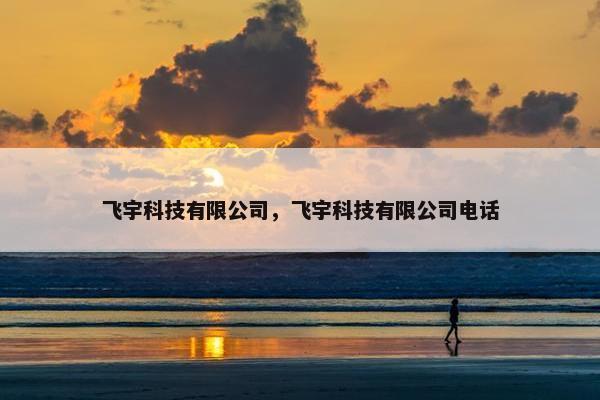 飞宇科技有限公司，飞宇科技有限公司电话