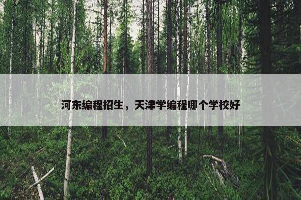 河东编程招生，天津学编程哪个学校好