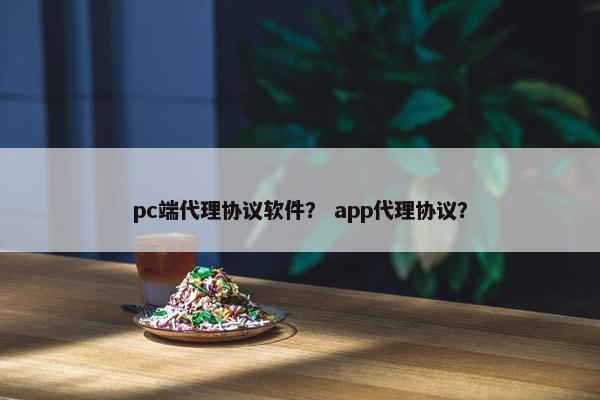 pc端代理协议软件？ app代理协议？