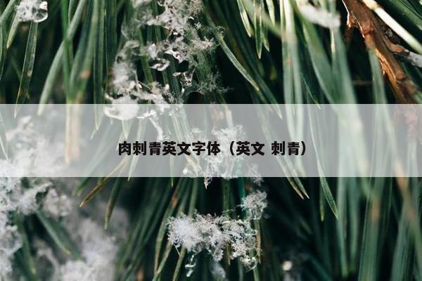 肉刺青英文字体（英文 刺青）