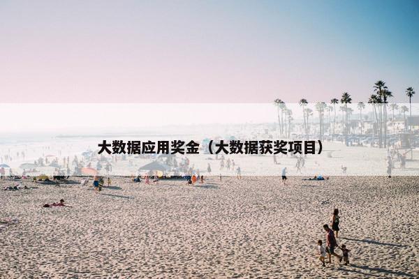 大数据应用奖金（大数据获奖项目）