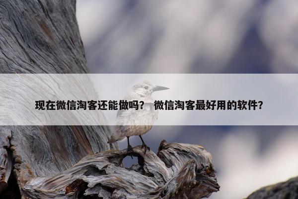 现在微信淘客还能做吗？ 微信淘客最好用的软件？