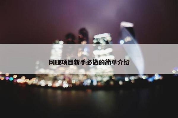 网赚项目新手必做的简单介绍