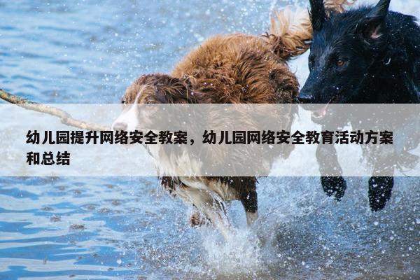 幼儿园提升网络安全教案，幼儿园网络安全教育活动方案和总结