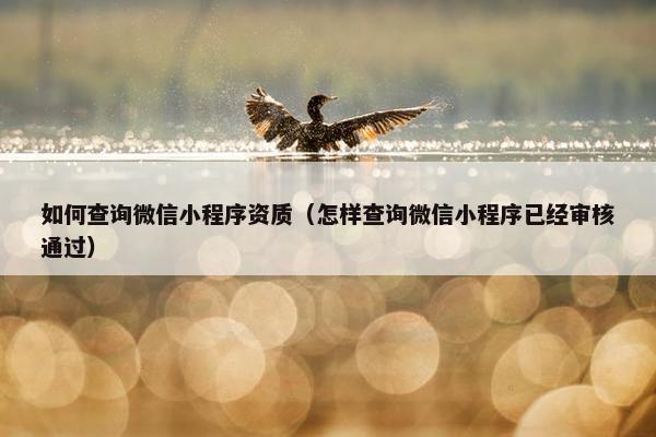 如何查询微信小程序资质（怎样查询微信小程序已经审核通过）