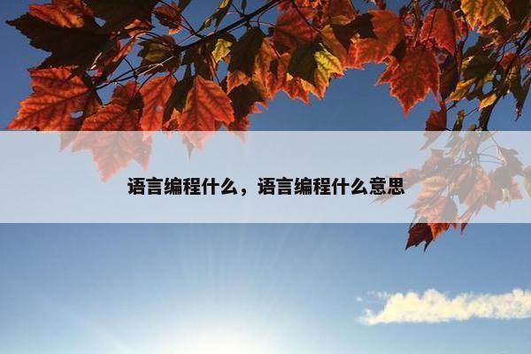 语言编程什么，语言编程什么意思