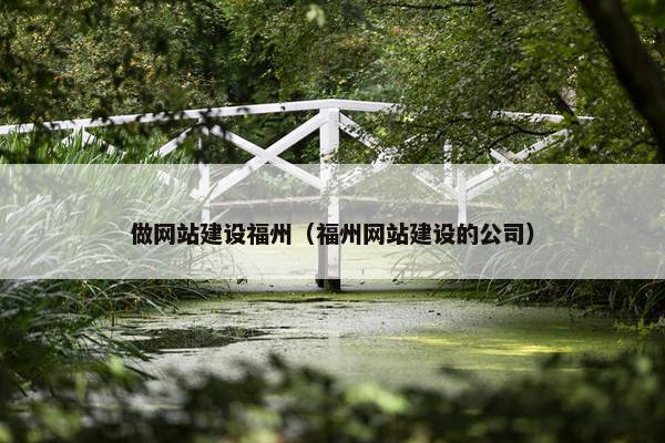 做网站建设福州（福州网站建设的公司）