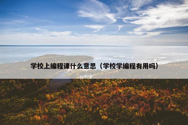 学校上编程课什么意思（学校学编程有用吗）