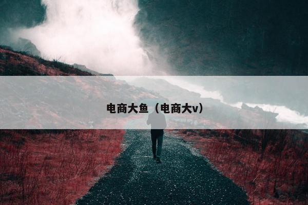 电商大鱼（电商大v）