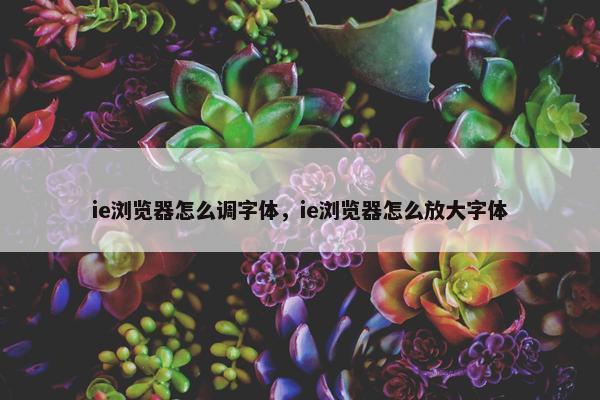 ie浏览器怎么调字体，ie浏览器怎么放大字体