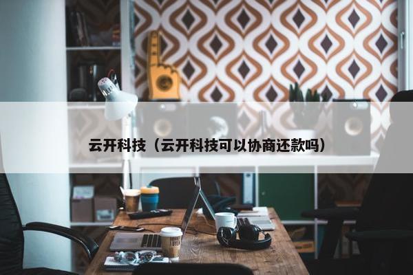 云开科技（云开科技可以协商还款吗）