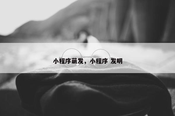 小程序萌发，小程序 发明