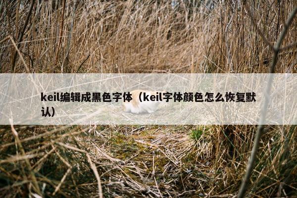 keil编辑成黑色字体（keil字体颜色怎么恢复默认）