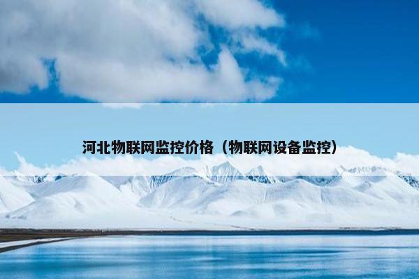 河北物联网监控价格（物联网设备监控）