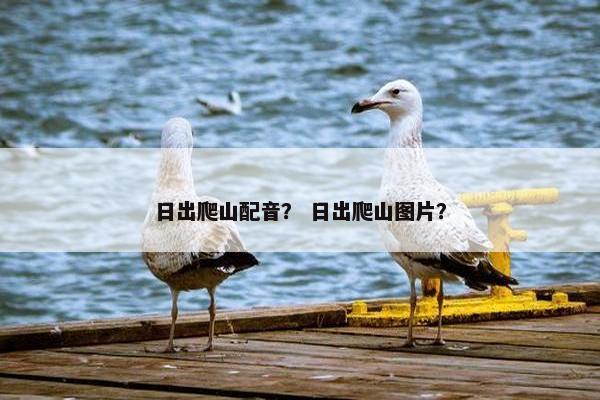日出爬山配音？ 日出爬山图片？