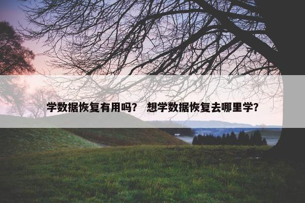 学数据恢复有用吗？ 想学数据恢复去哪里学？