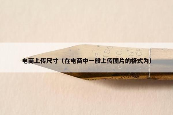 电商上传尺寸（在电商中一般上传图片的格式为）