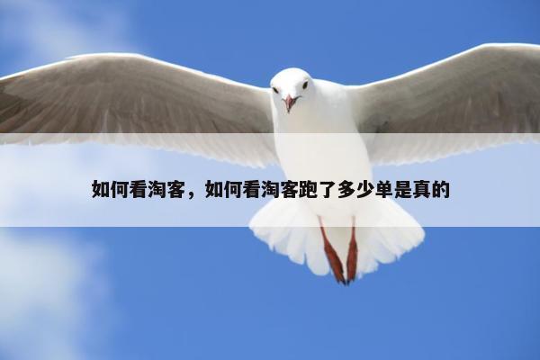 如何看淘客，如何看淘客跑了多少单是真的