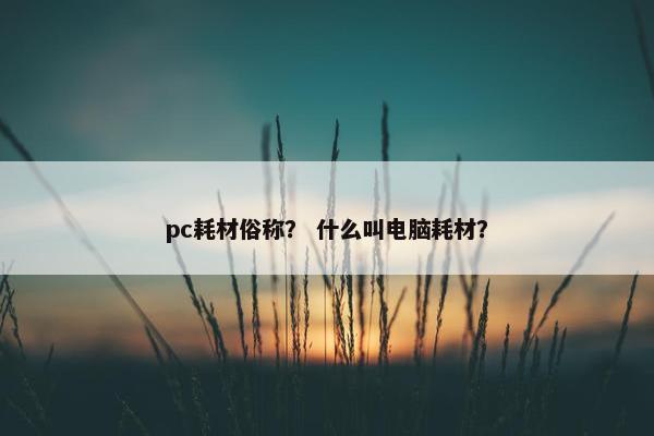pc耗材俗称？ 什么叫电脑耗材？