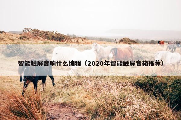 智能触屏音响什么编程（2020年智能触屏音箱推荐）