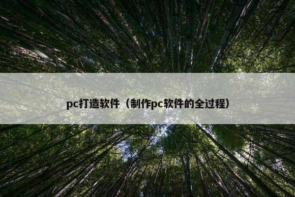 pc打造软件（制作pc软件的全过程）