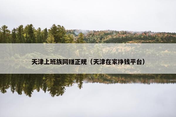 天津上班族网赚正规（天津在家挣钱平台）