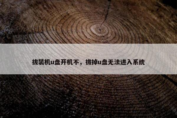 拔装机u盘开机不，拔掉u盘无法进入系统
