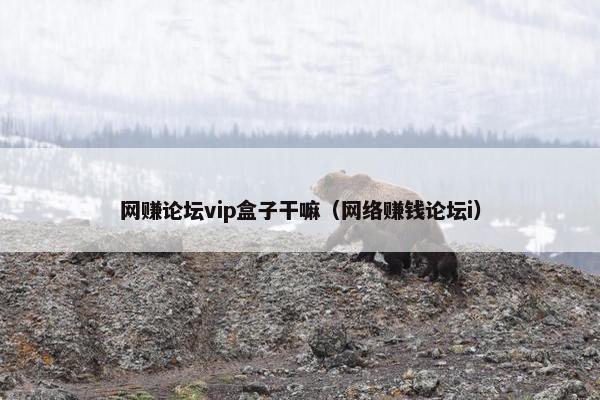 网赚论坛vip盒子干嘛（网络赚钱论坛i）