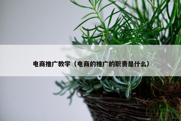 电商推广教学（电商的推广的职责是什么）