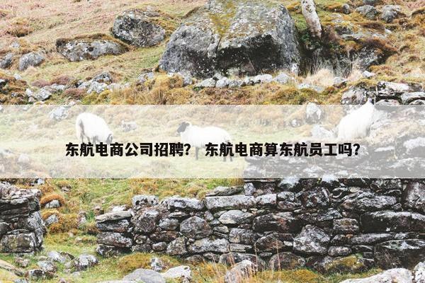 东航电商公司招聘？ 东航电商算东航员工吗？