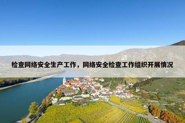 检查网络安全生产工作，网络安全检查工作组织开展情况