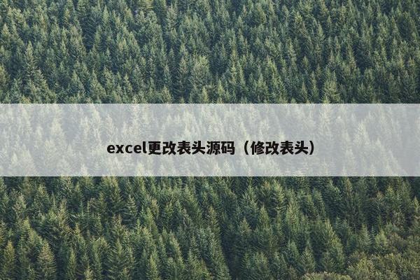 excel更改表头源码（修改表头）