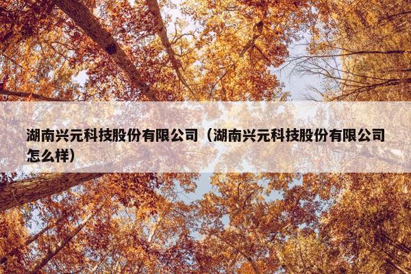 湖南兴元科技股份有限公司（湖南兴元科技股份有限公司怎么样）