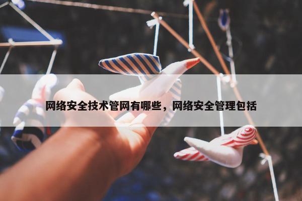 网络安全技术管网有哪些，网络安全管理包括