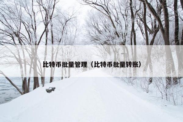 比特币批量管理（比特币批量转账）