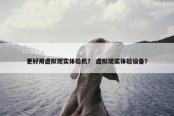 更好用虚拟现实体验机？ 虚拟现实体验设备？