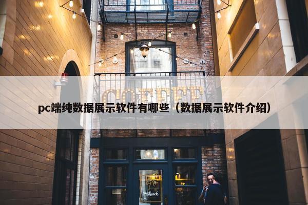 pc端纯数据展示软件有哪些（数据展示软件介绍）