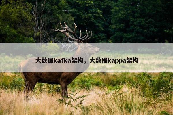 大数据kafka架构，大数据kappa架构
