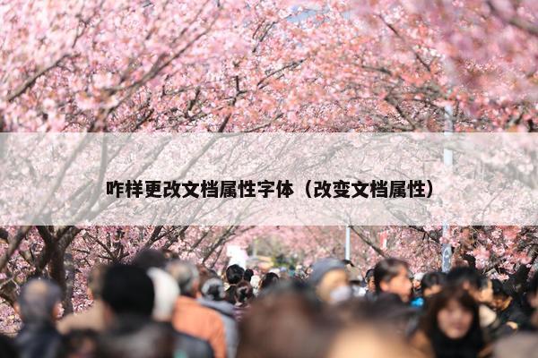 咋样更改文档属性字体（改变文档属性）